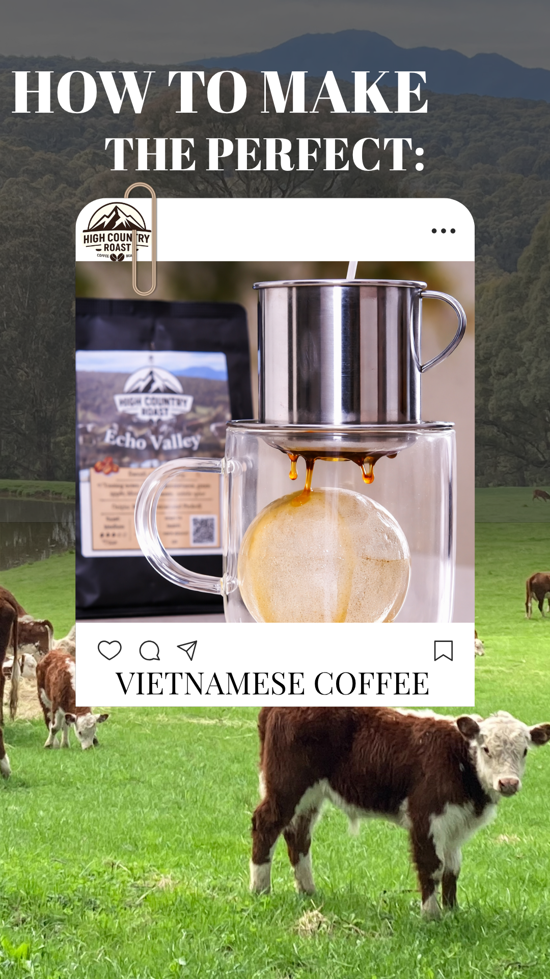 the coffee guide: Vietnamese coffee