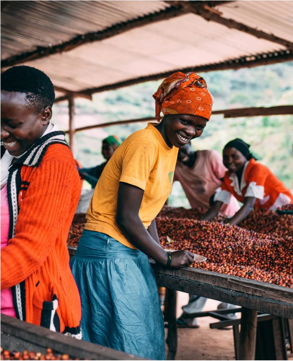 Single Origin Colombia